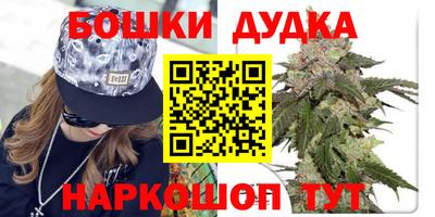 тгк Сланцы
