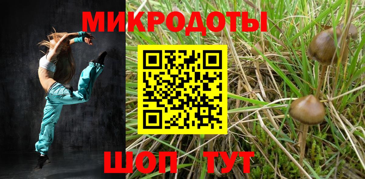 Галлюциногенные грибы прущие грибы Лосино-Петровский