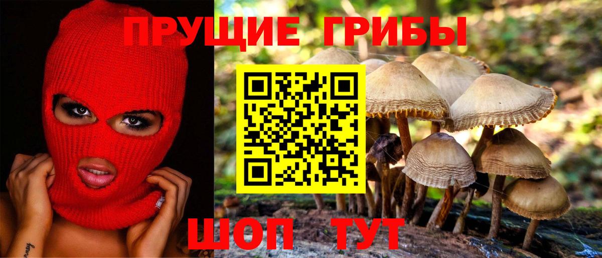 Псилоцибиновые грибы прущие грибы  Вход с VPN  как найти наркотики  Лосино-Петровский 